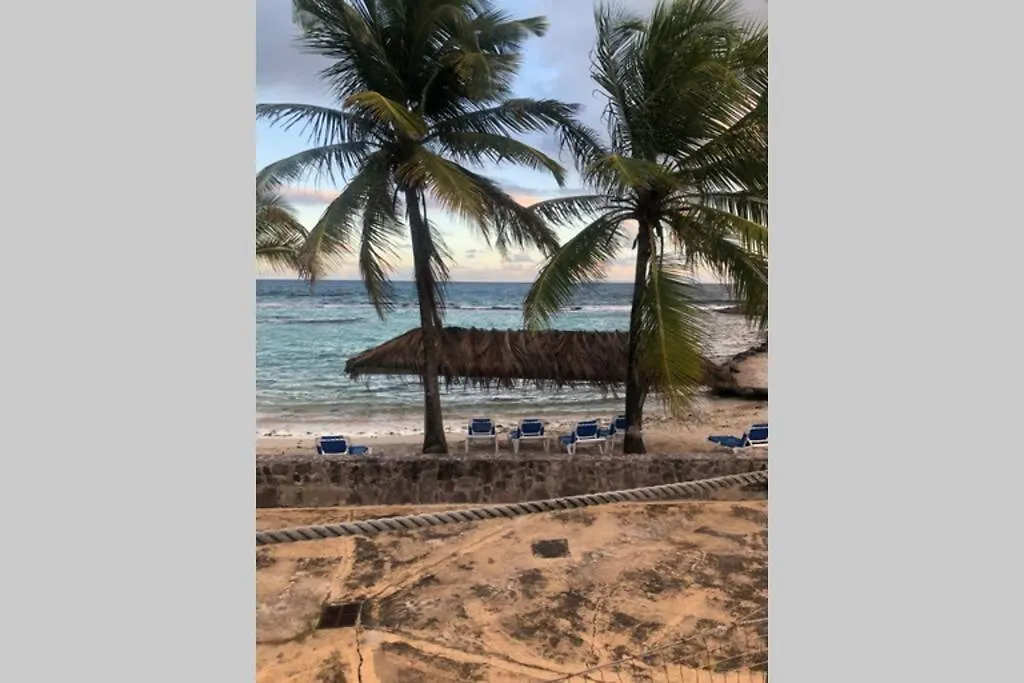 Le Ti Cocotiers T3 En Rdc Meuble Apartment Saint-Francois  Guadeloupe